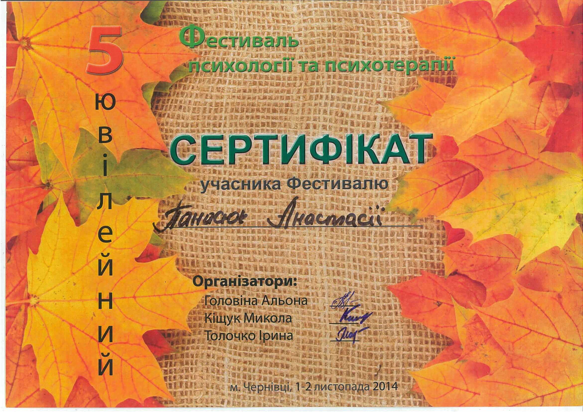 Фестиваль 2